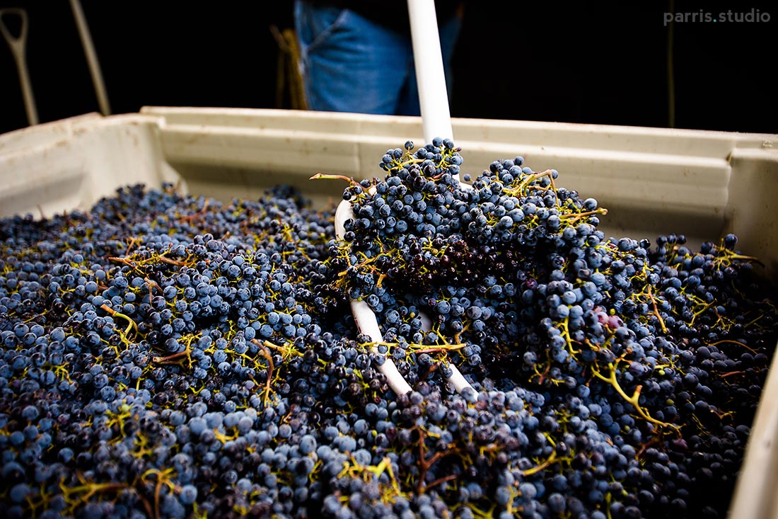 003-seattle-lifestyle-photography