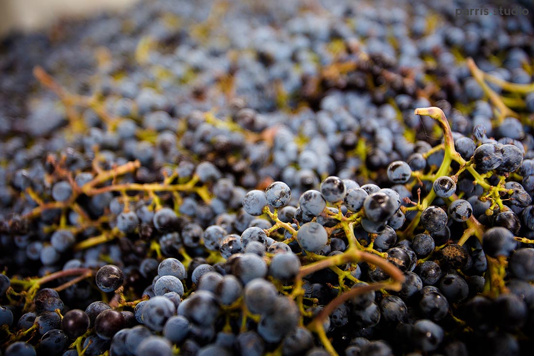 004-seattle-lifestyle-photography