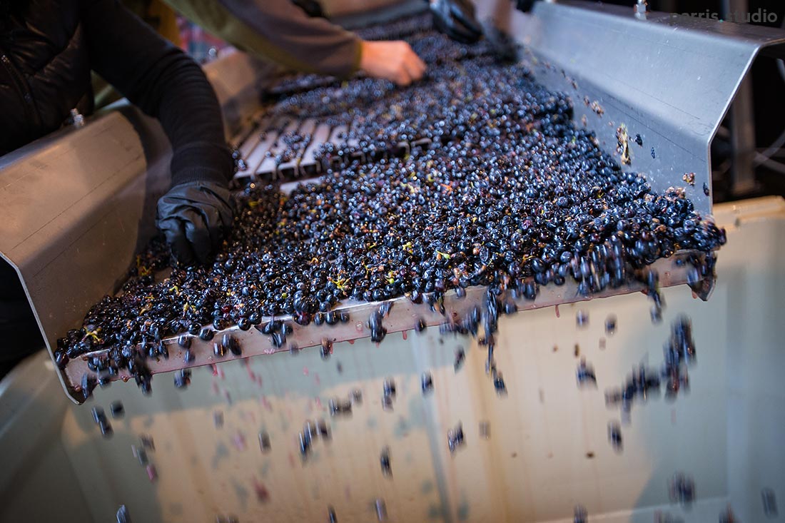 005-seattle-lifestyle-photography