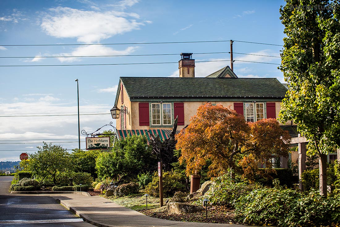 006-seattle-lifestyle-photography