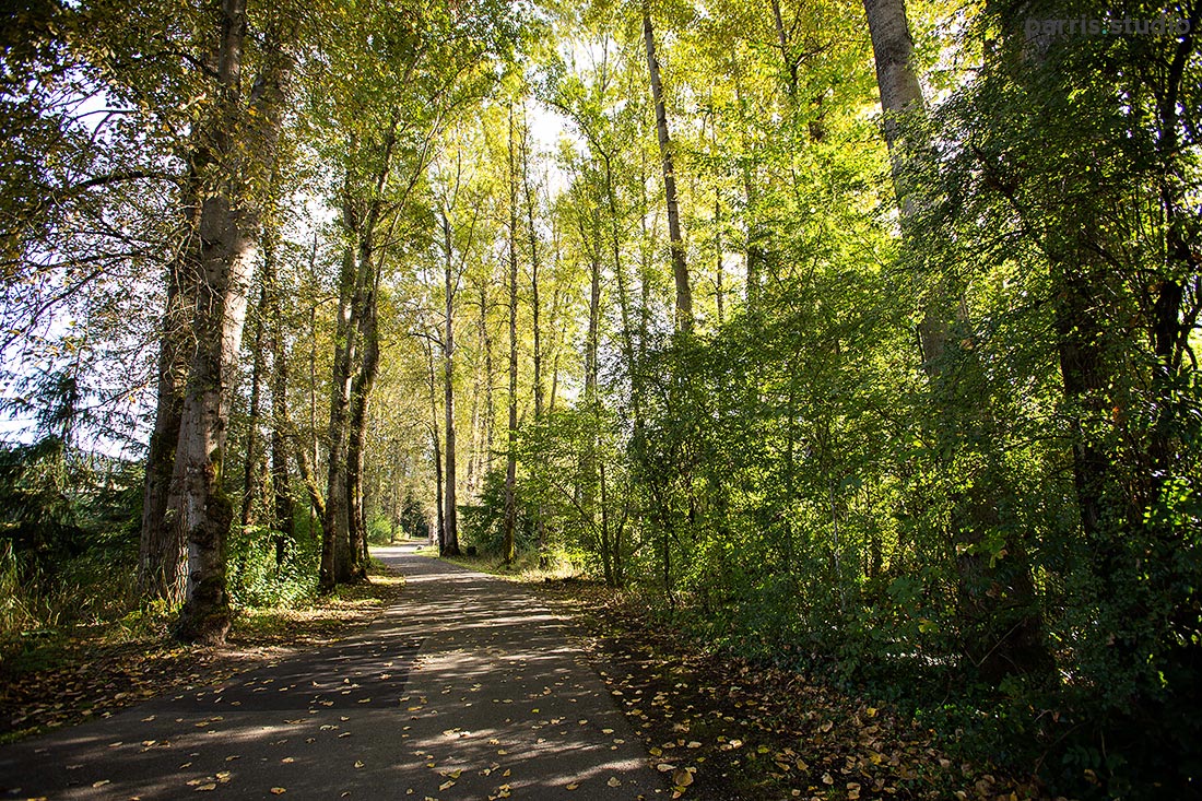 024-seattle-lifestyle-photography